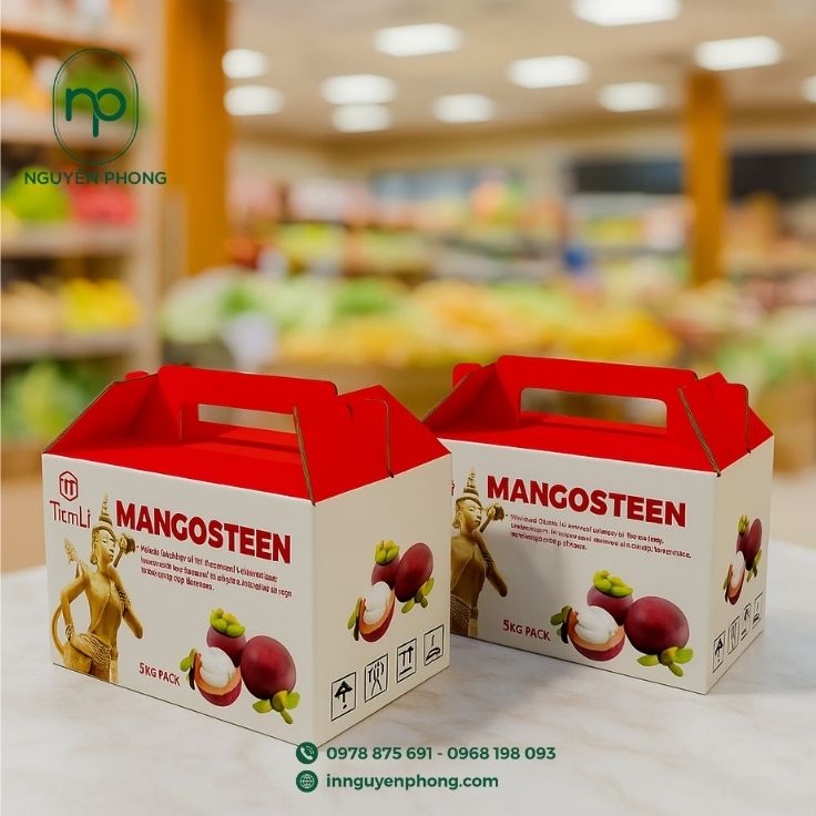 Mẫu thùng carton đựng măng cụt thiết kế có quai cầm